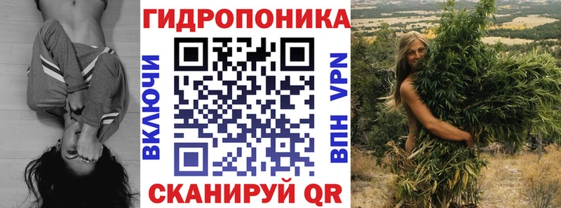 Купить где  Котово  Каннабис план 